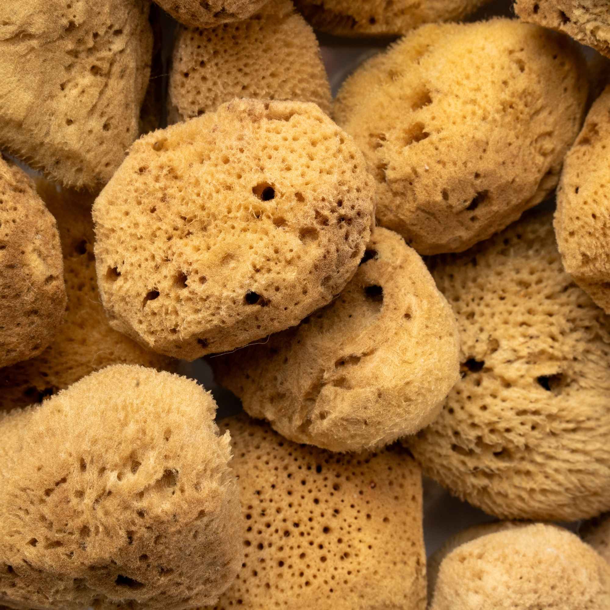 Hilfe, mein Menstruationsschwamm kommt nicht raus – was tun?