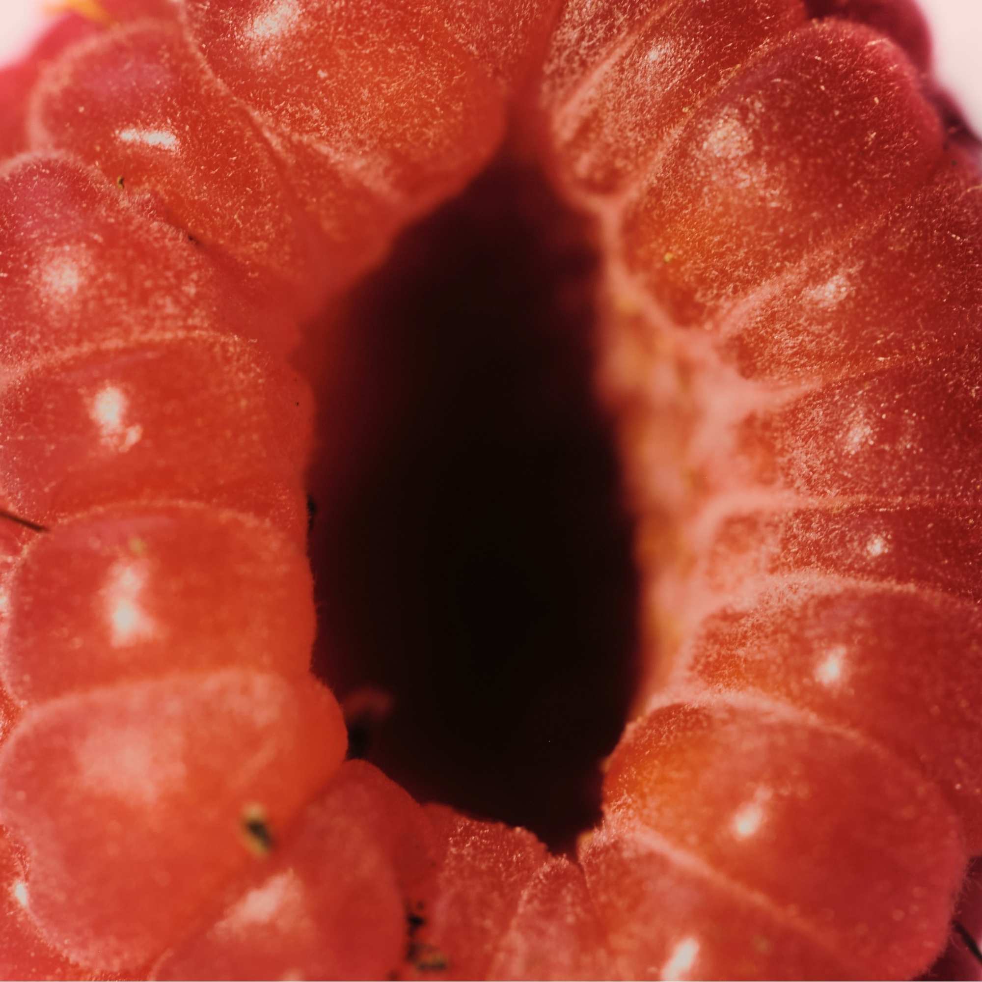 Lust statt Frust: So wird Periodensex angenehm & intensiv