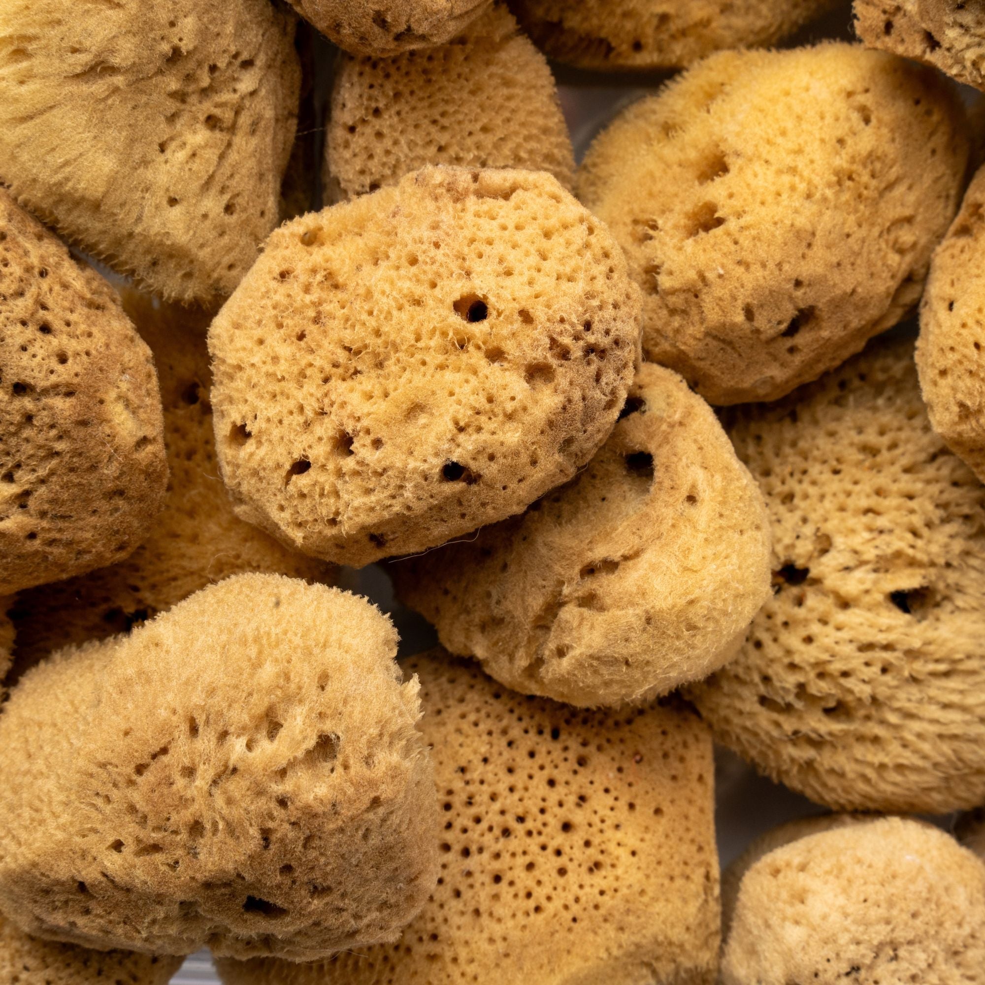 Hilfe, mein Menstruationsschwamm kommt nicht raus – was tun?