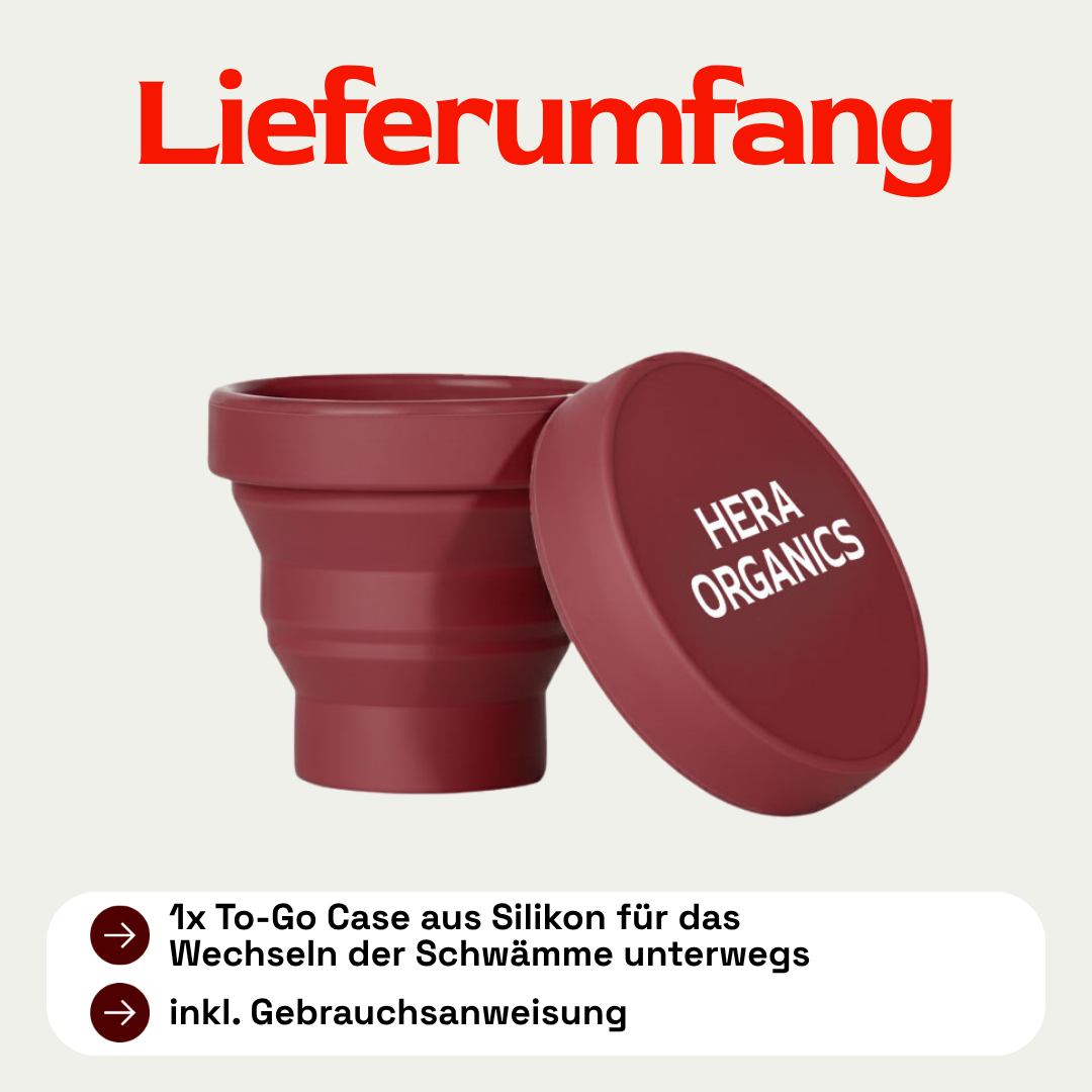 HERA To-Go Case