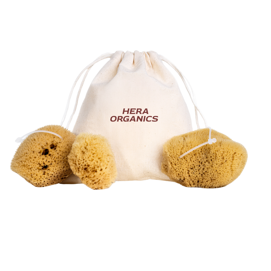 3er Set Menstruationsschwamm mit Rückholband Hera Organics
