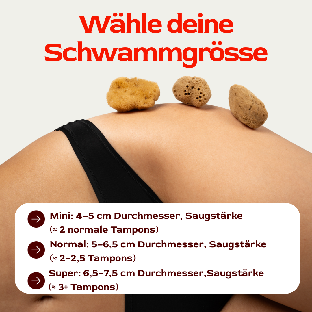 Menstruationsschwamm Groessen Mini Normal Super Tampon lang_fr
