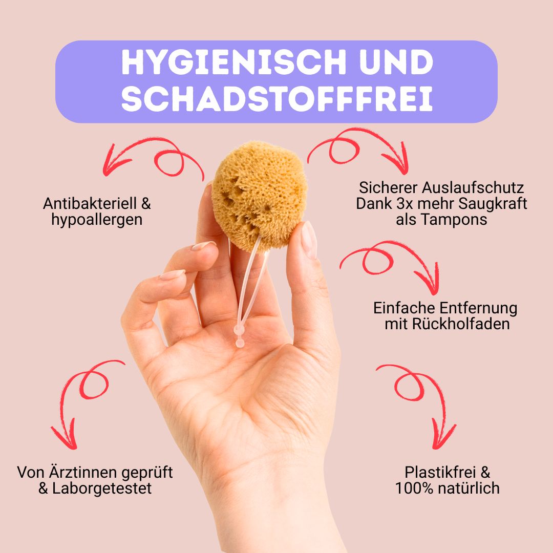 3er Set HERA Menstruations schwamm