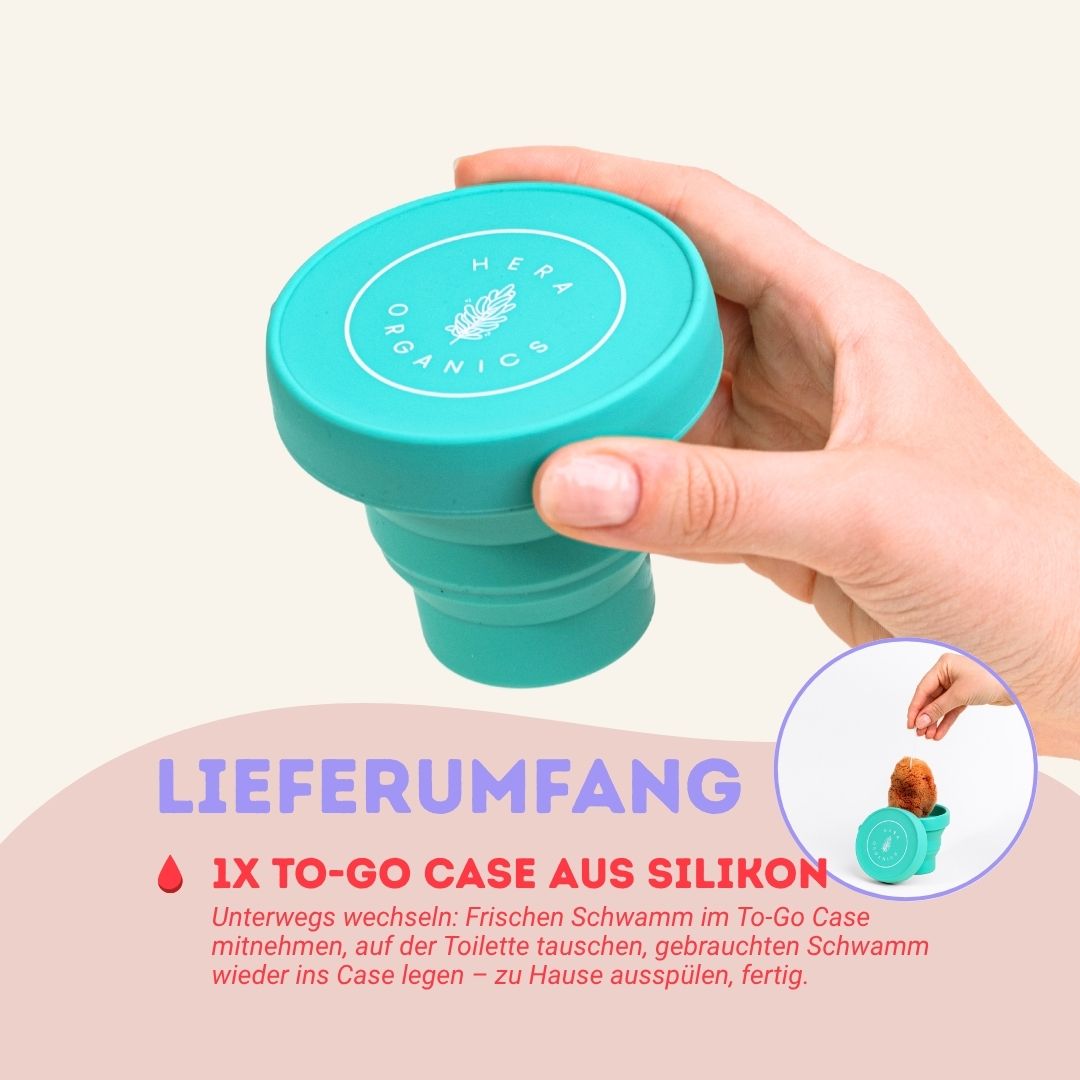 Hestia To-Go Case